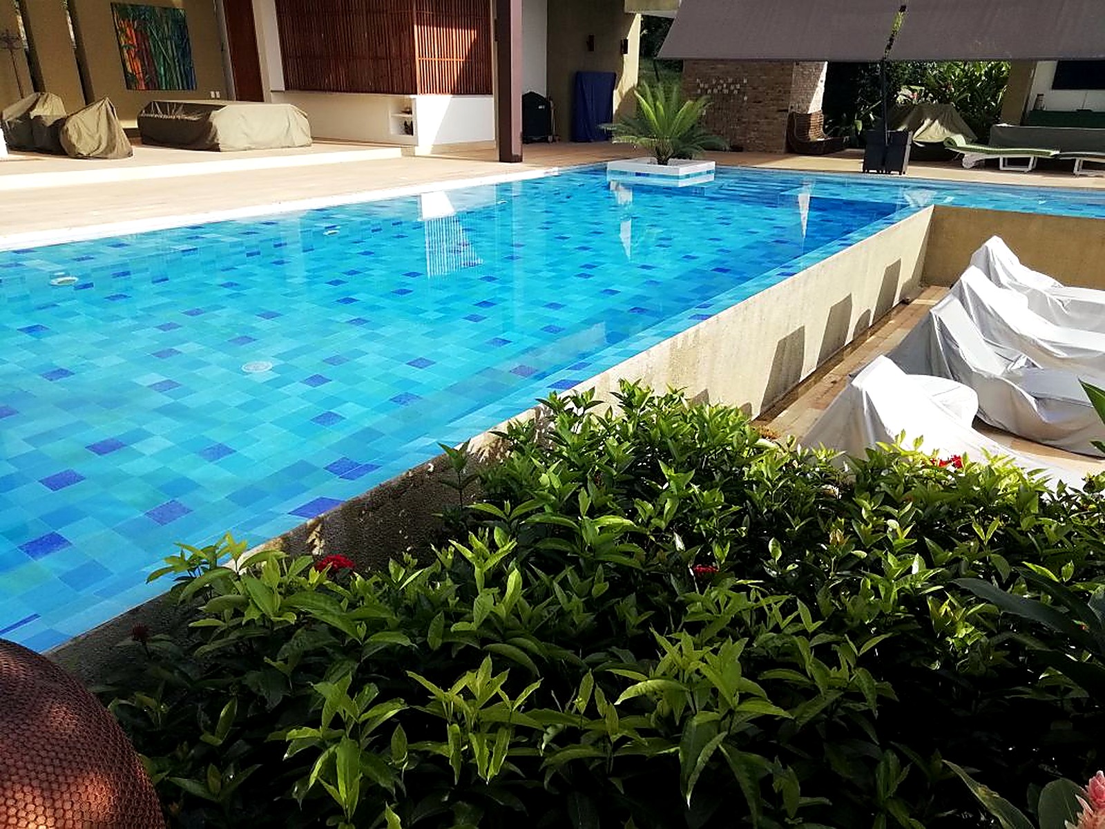 Piscina en mosaico azul junto a la terraza cubierta y el jardín